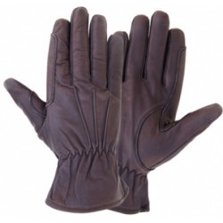 Horse Riding Gloves